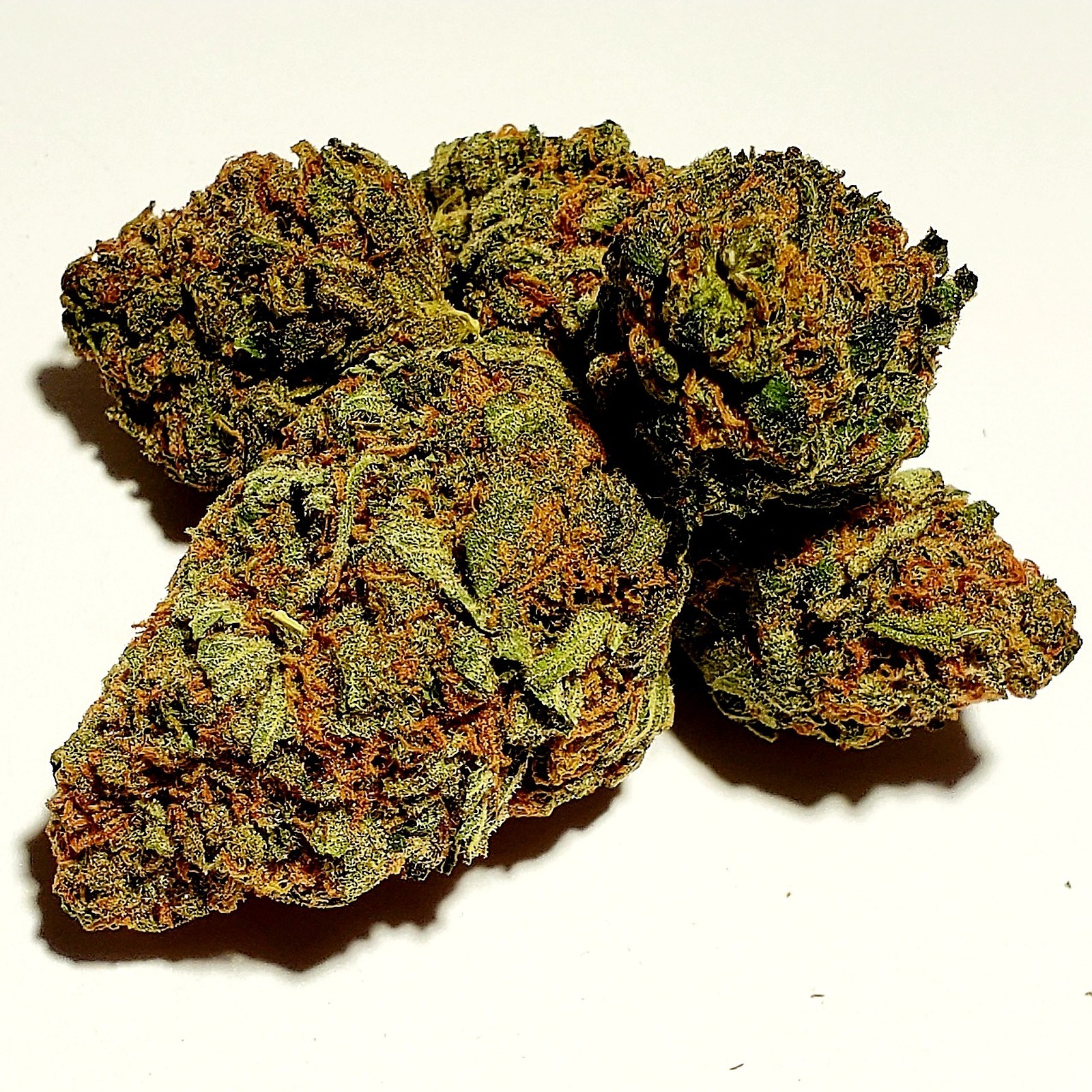 MOTOR PUNCH | 1/4oz | 17%
